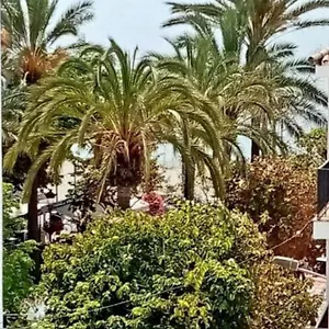 Old Town Apartment Estepona